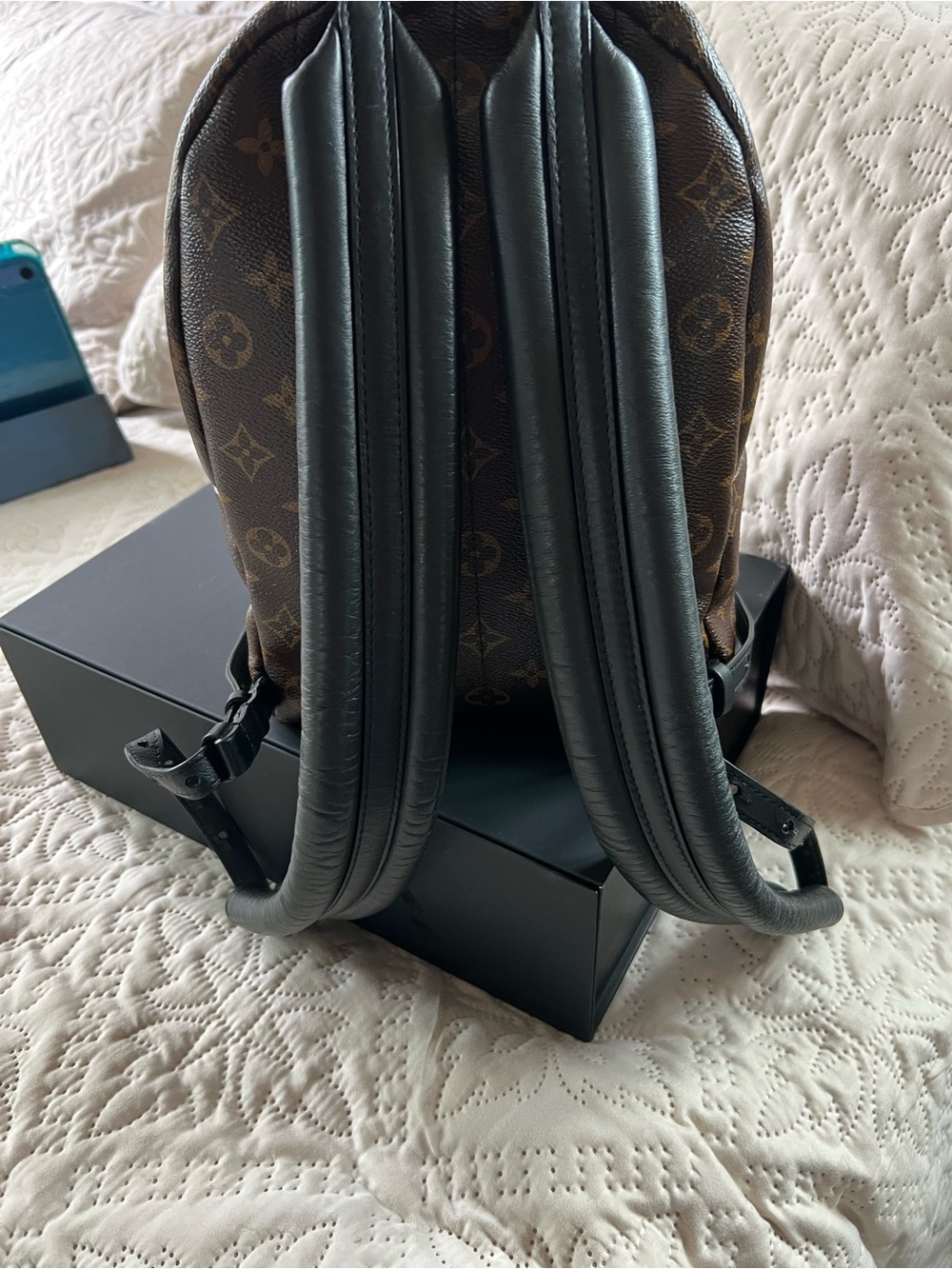 Louis Vuitton Monogram Palm Springs PM Backpack - Picture 3 of 16
